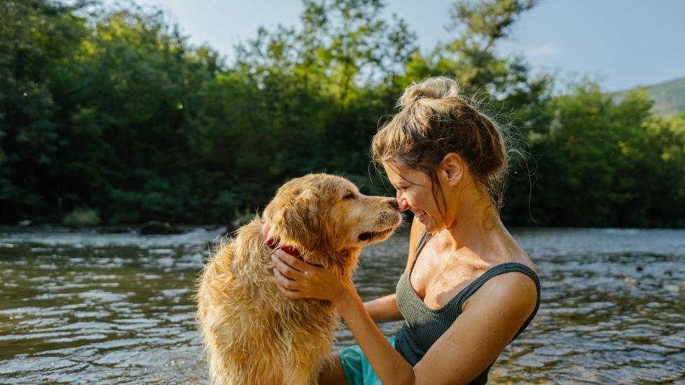 A dog and his pet parent.